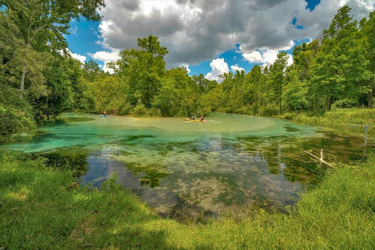 Weeki Wachee river