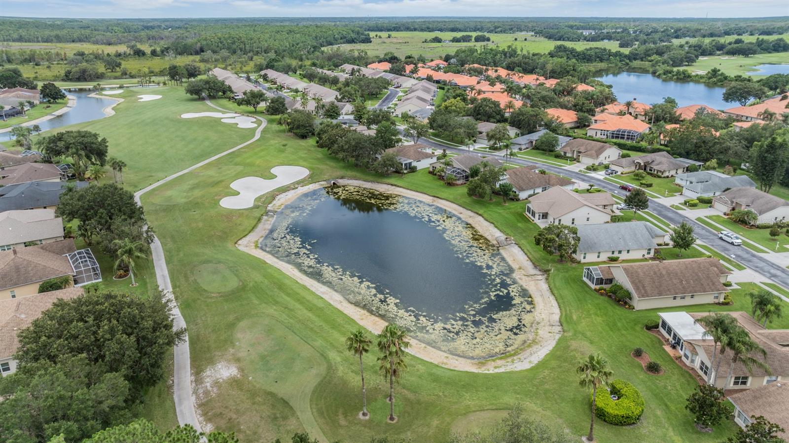 View of your backyard area