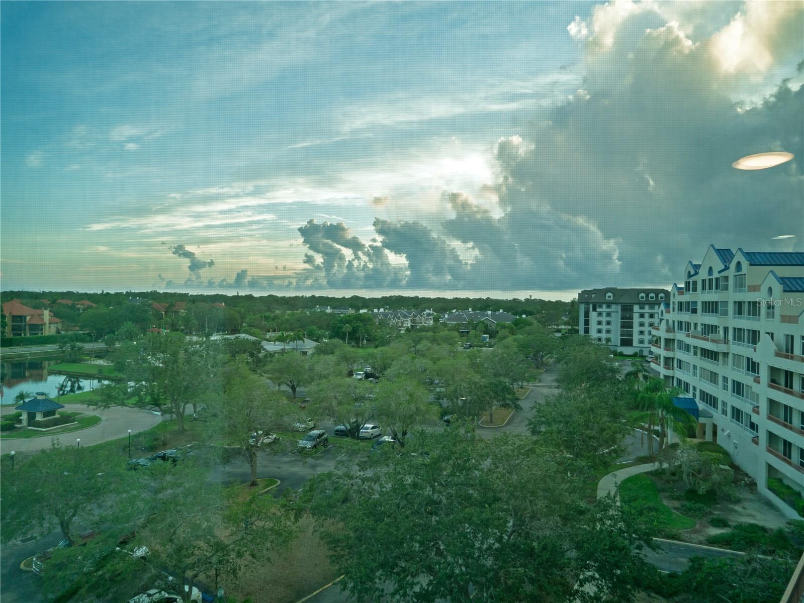Primary Bedroom View