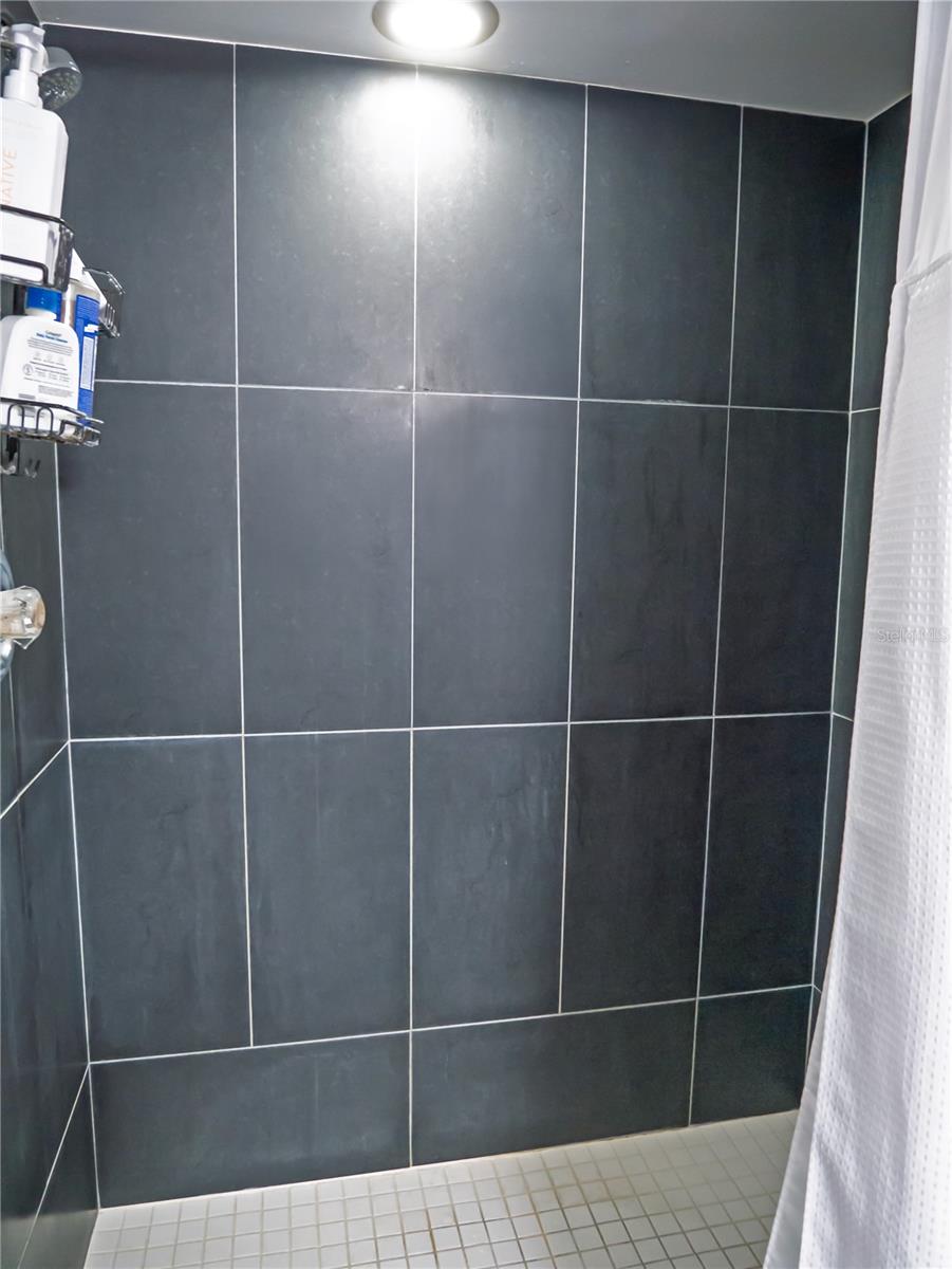 Primary Shower