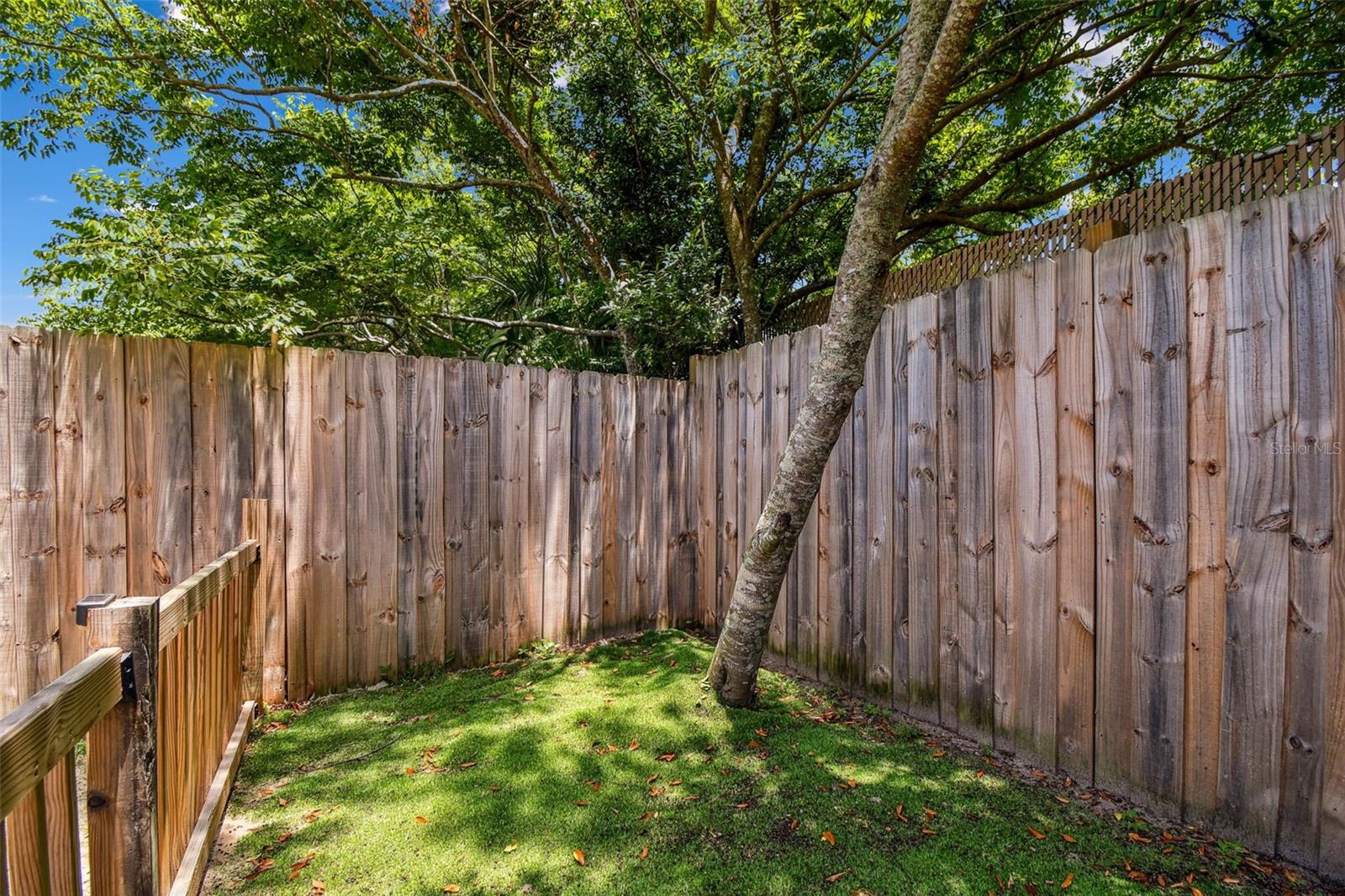 turfed fenced in area for dog