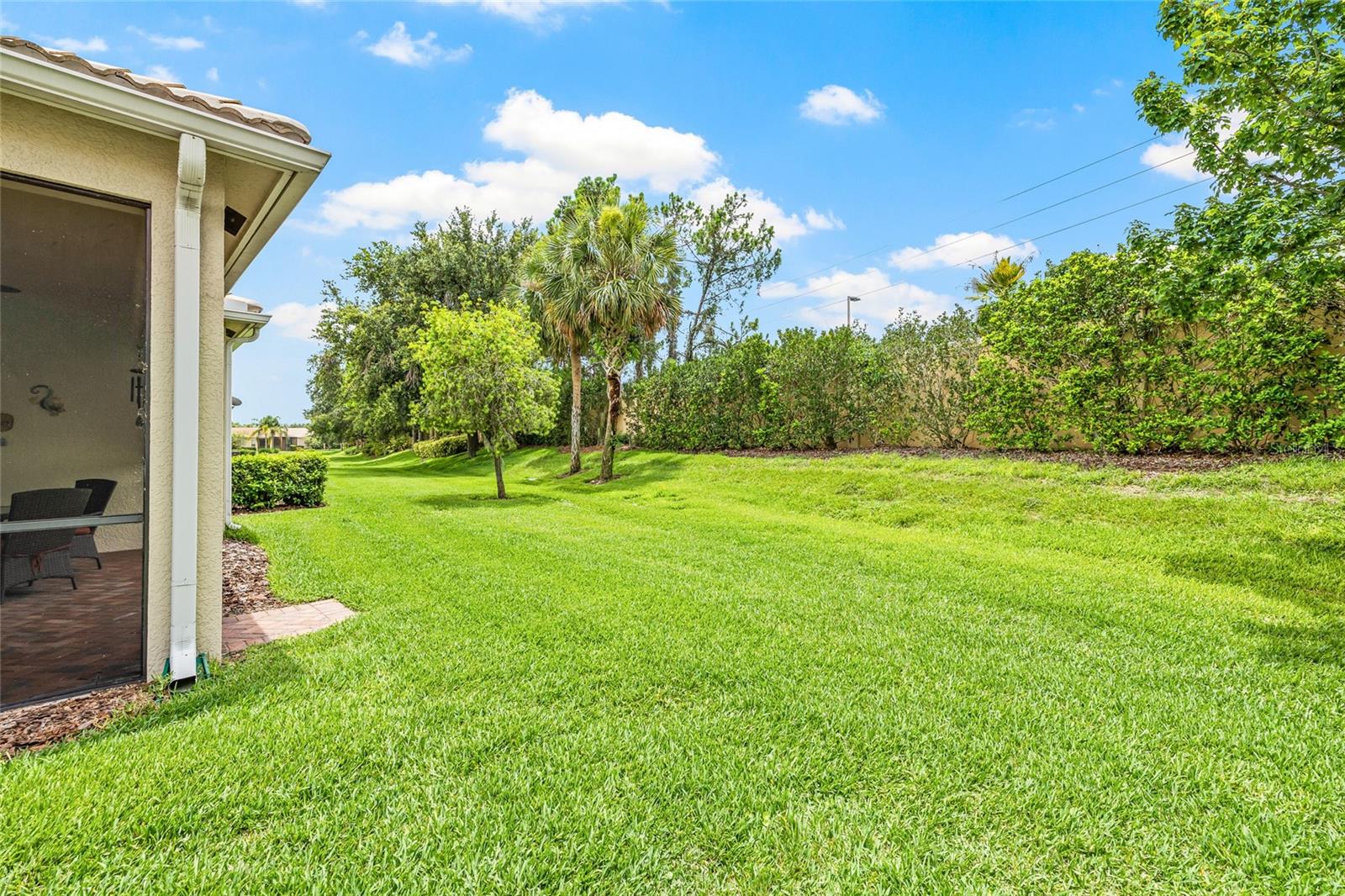 Large Backyard Space