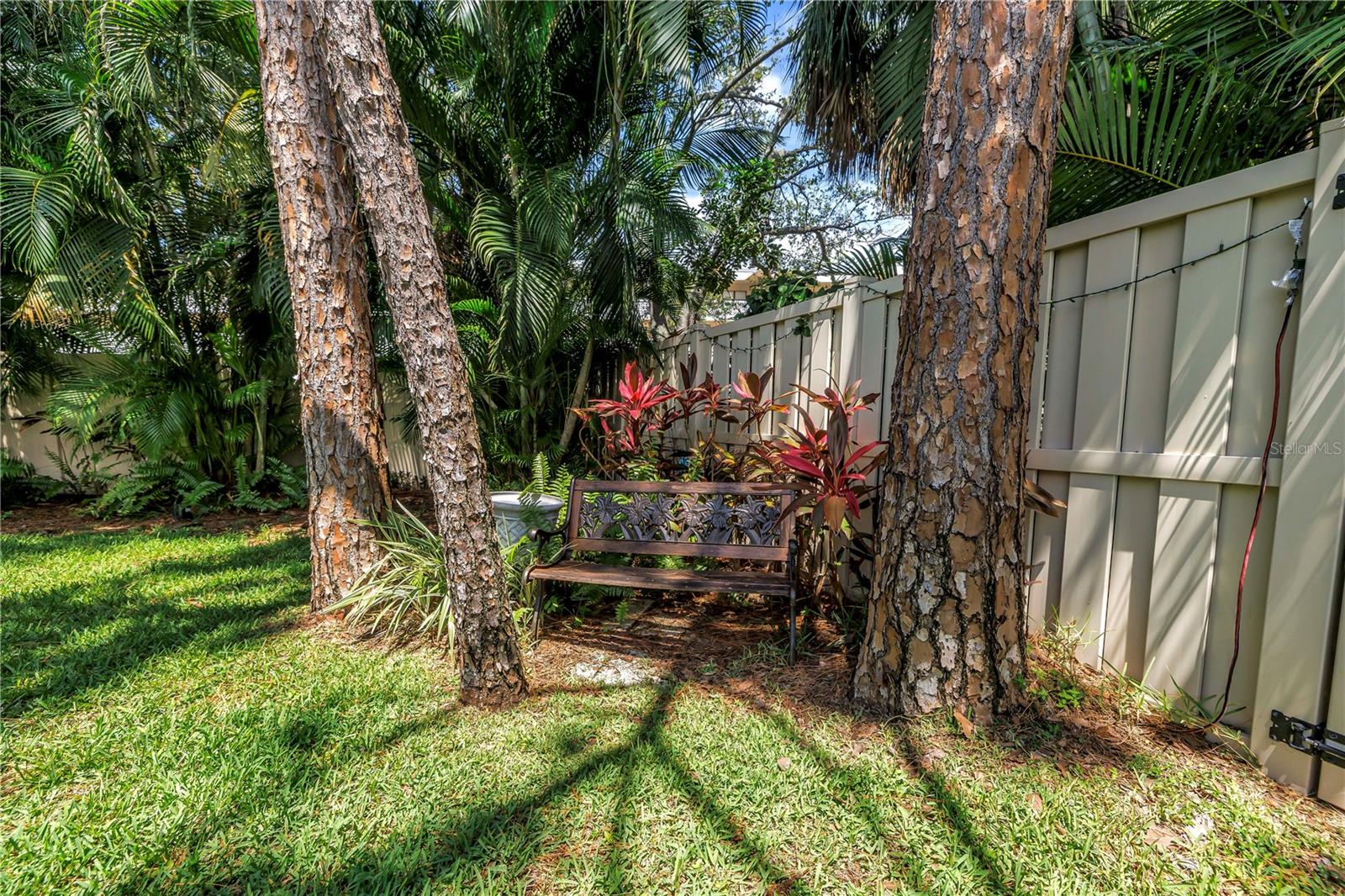 Shady spot for a novel or a discussion of the trivial