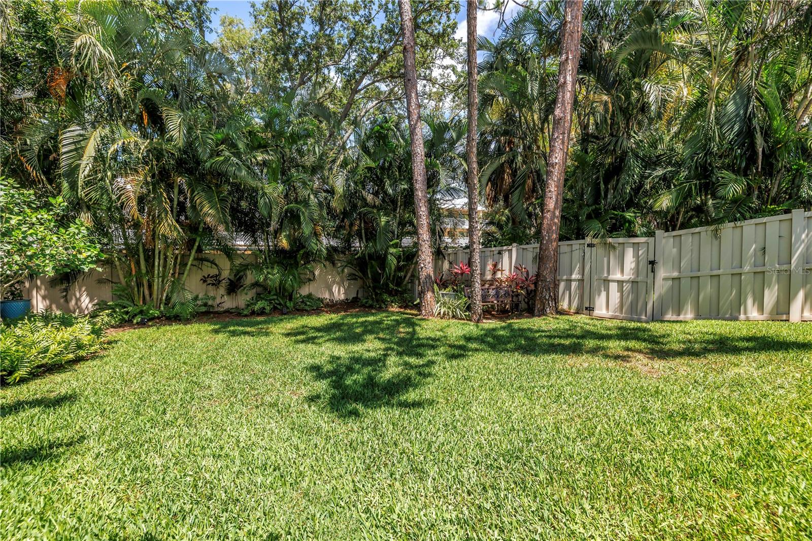 Spacious yard, fenced and plenty of room for activity