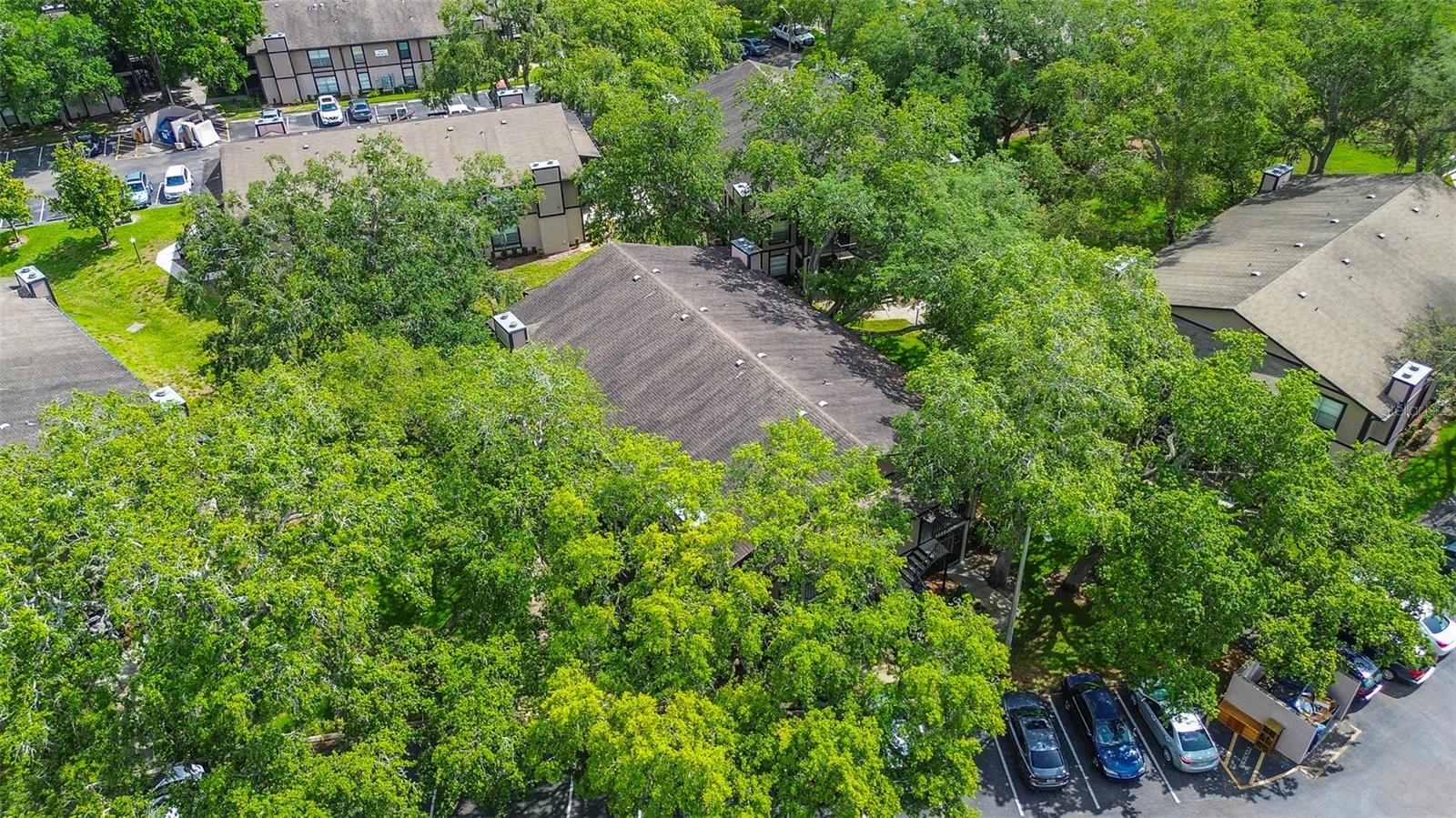 Building tucked into the trees