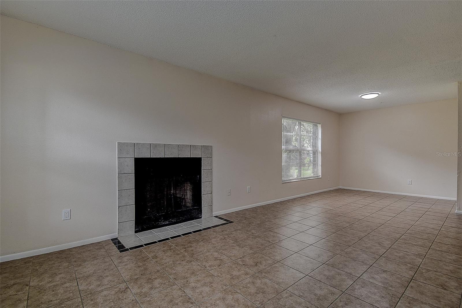 Living Room/Dining Room combination