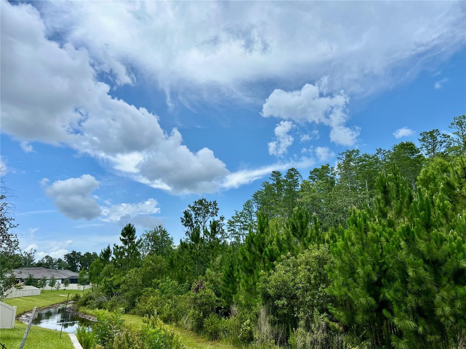 WATER & CONSERVATION VIEWS