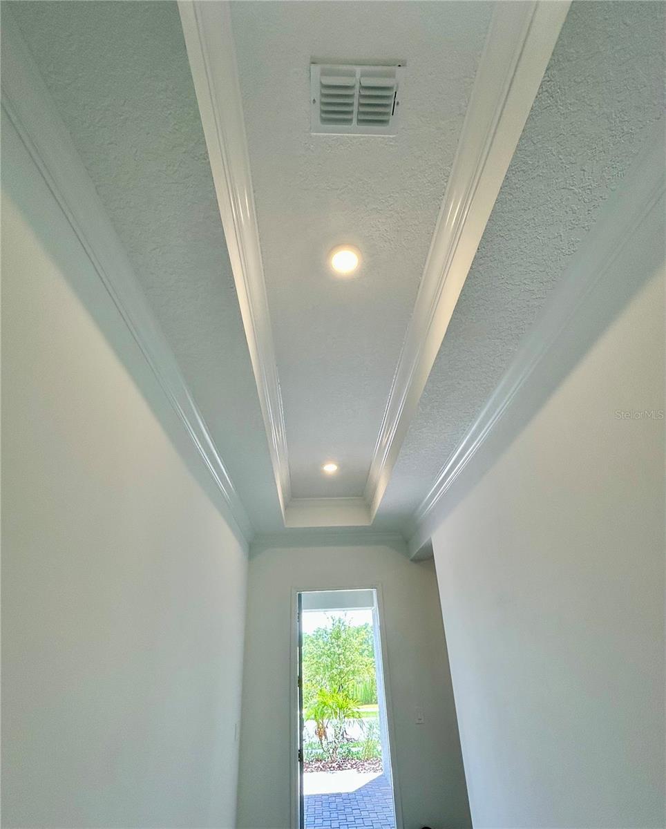 Front Entrance Corridor w/Custom Tray Ceiling & Recessed Lighting