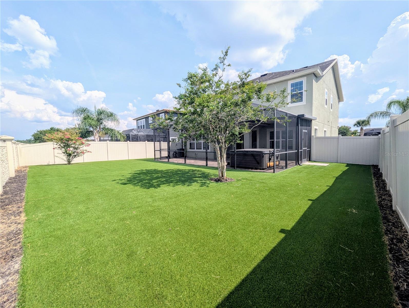 Back yard