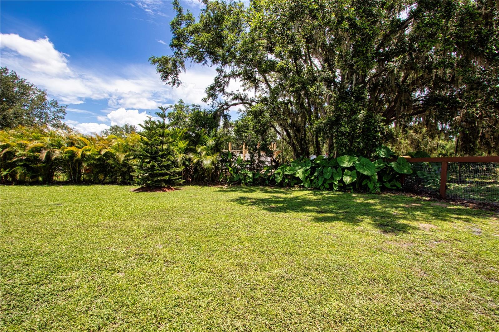 Side Yard