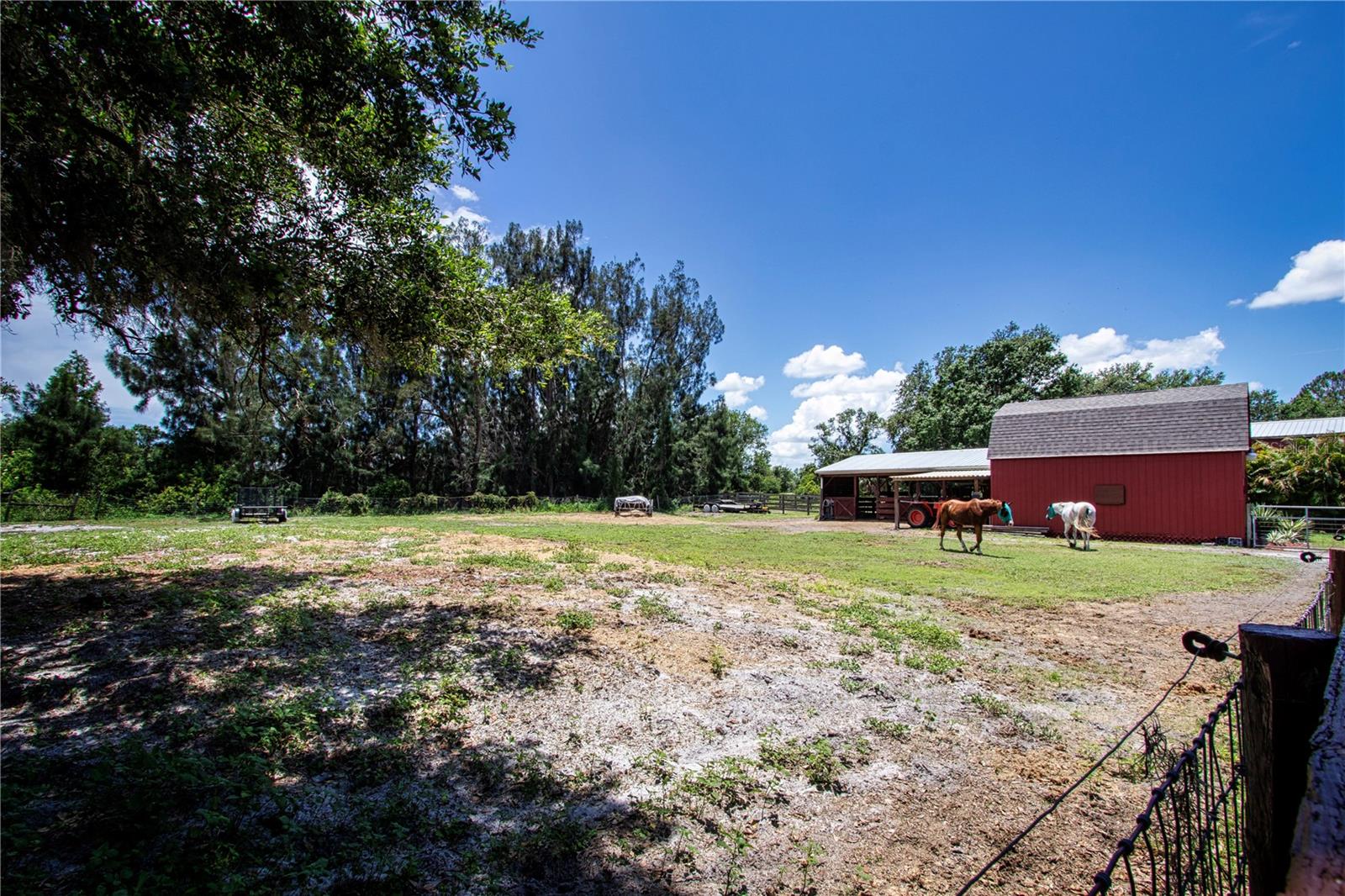 Horse Pasture