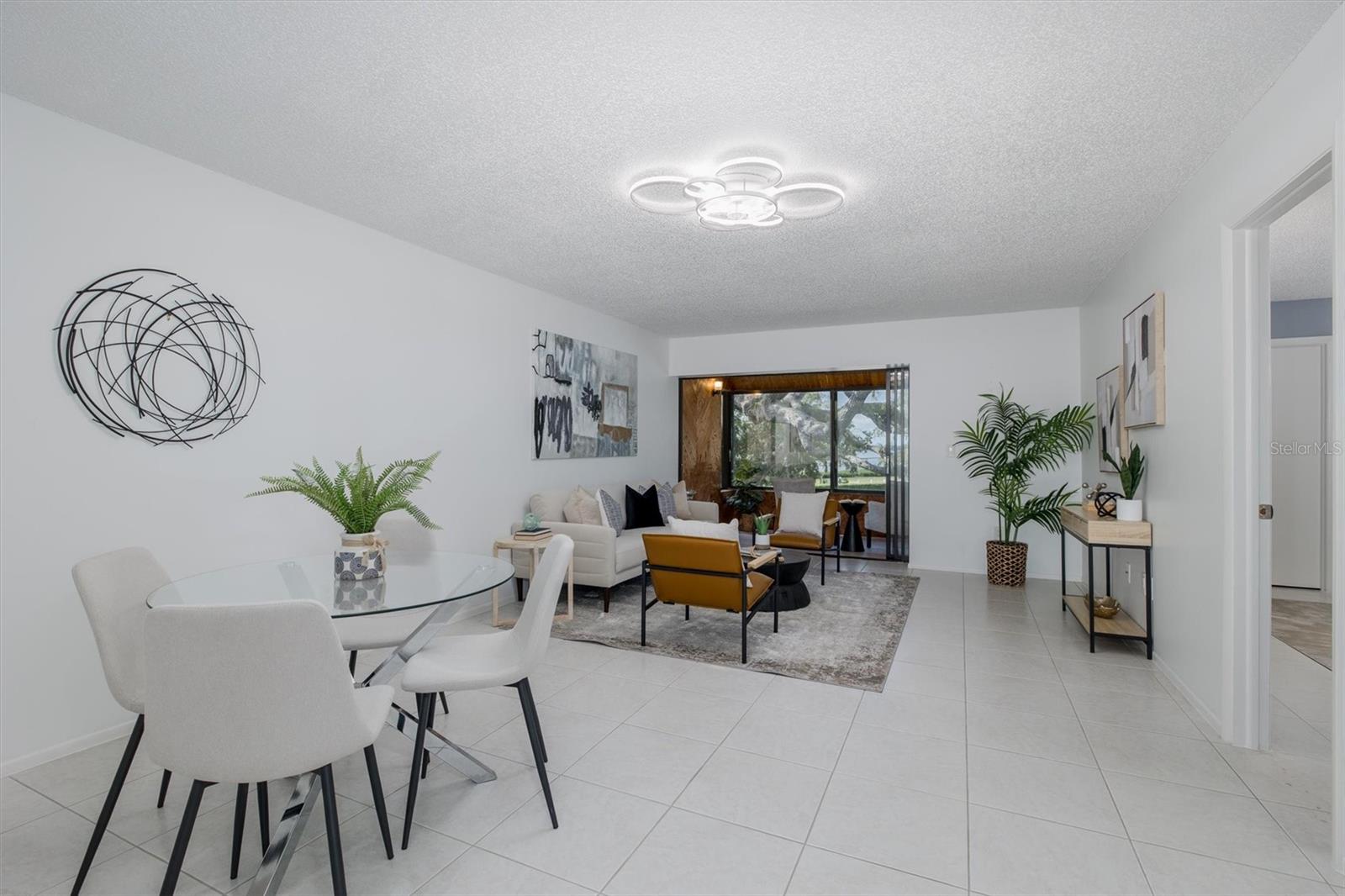 Dining Room/Living Room Combo