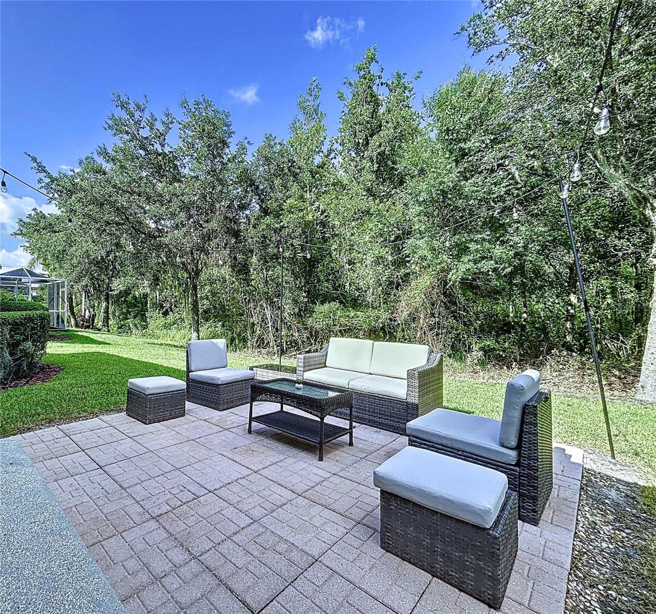 Backyard patio overlooking conservation