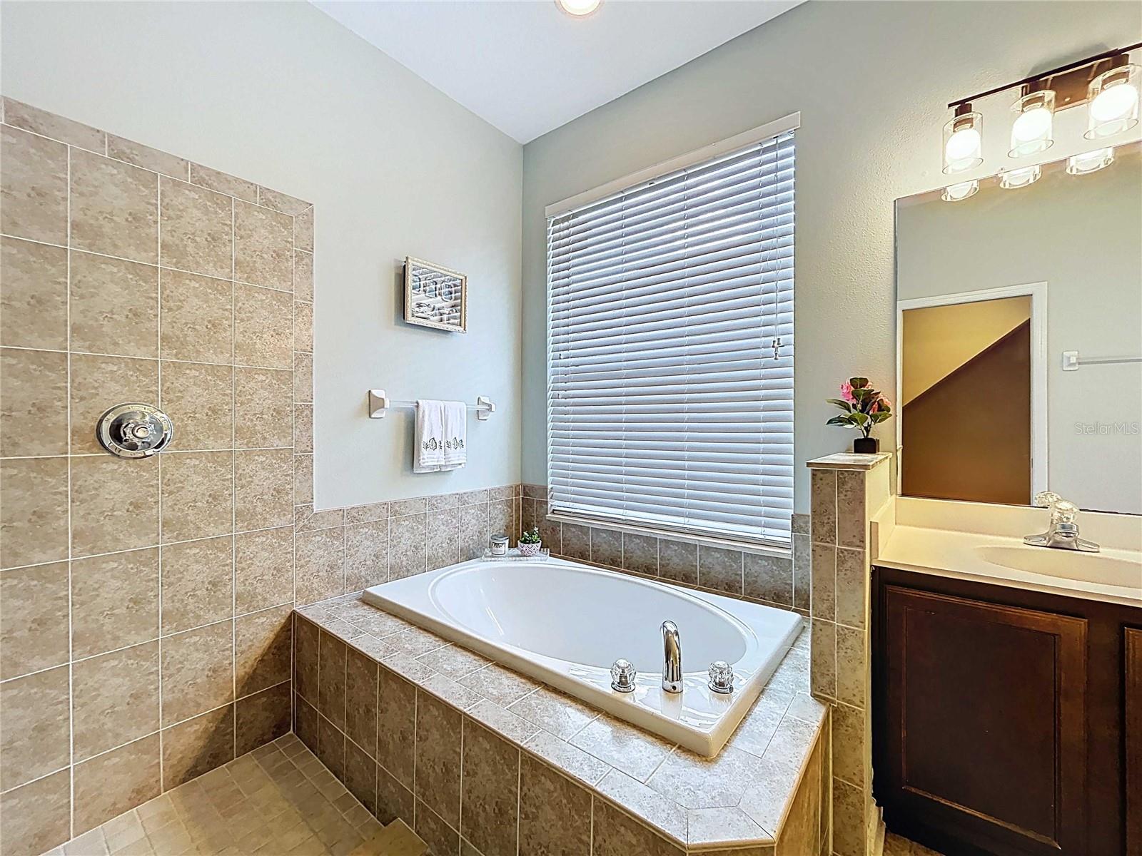 Primary bathroom garden tub