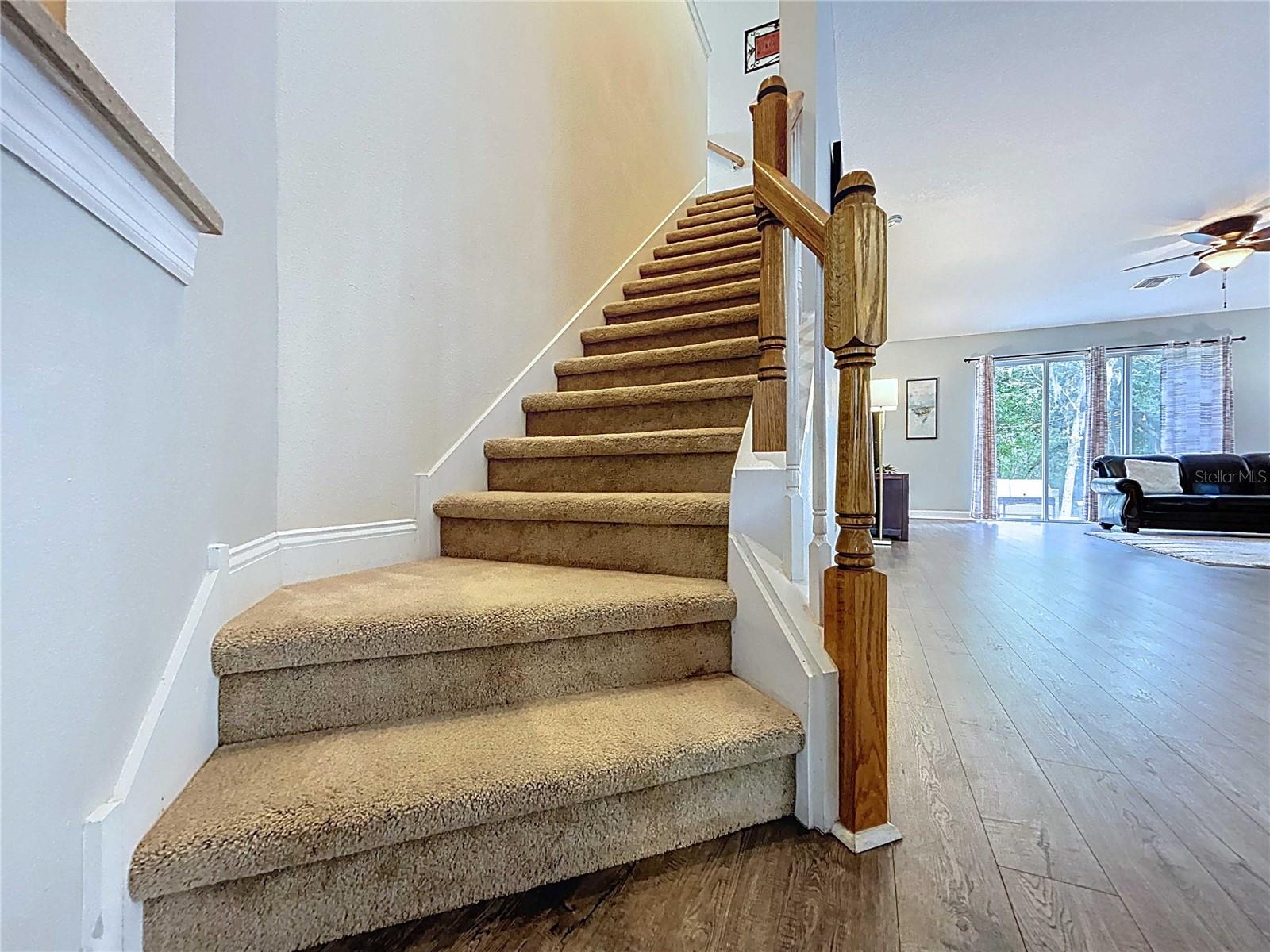 Carpeted stairs to floor 2