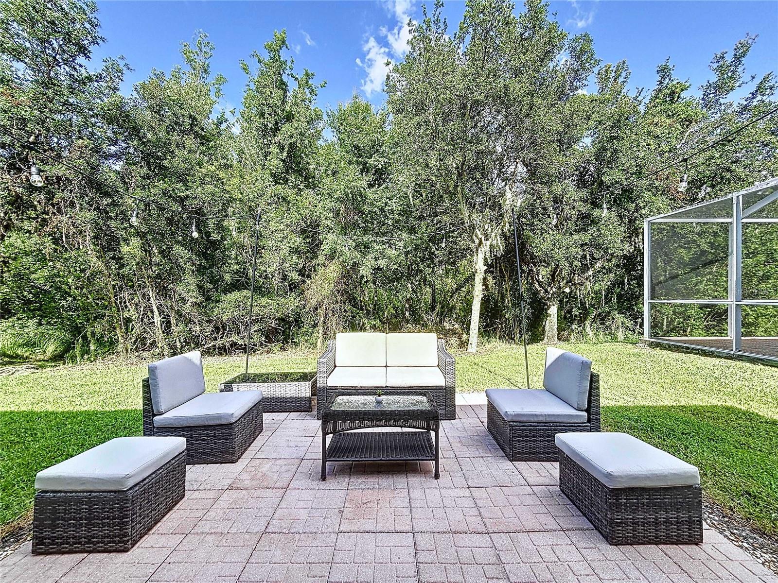 Backyard paver patio looking towards conservation