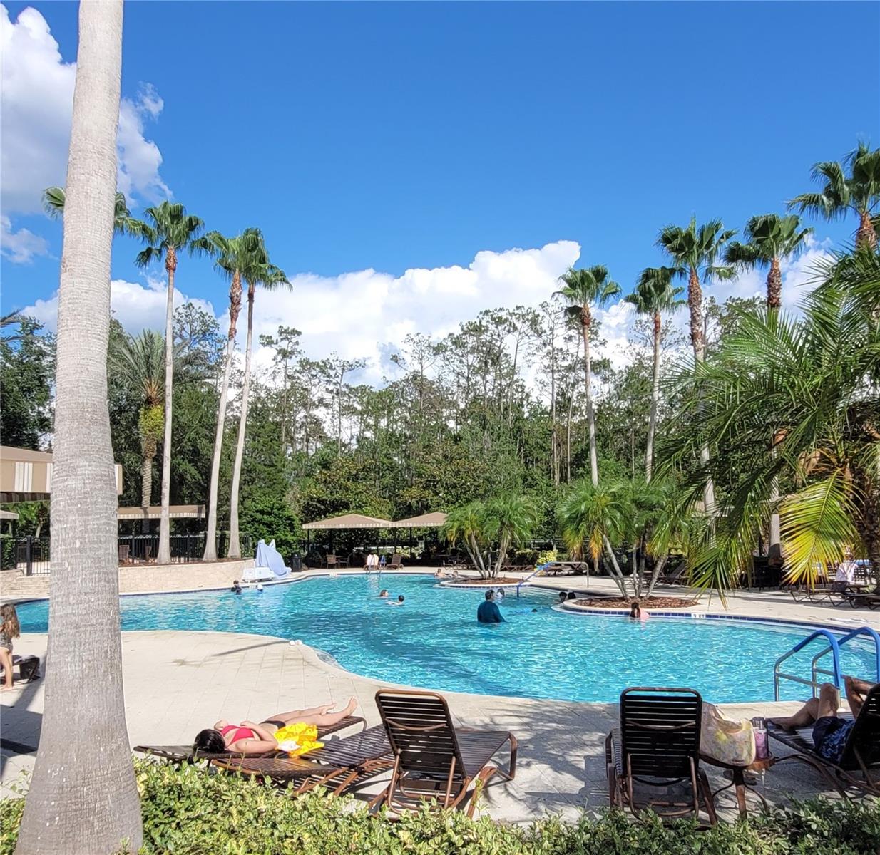 Lagoon style pool