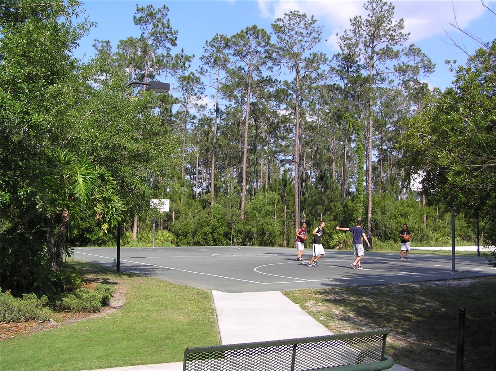 Basketball court