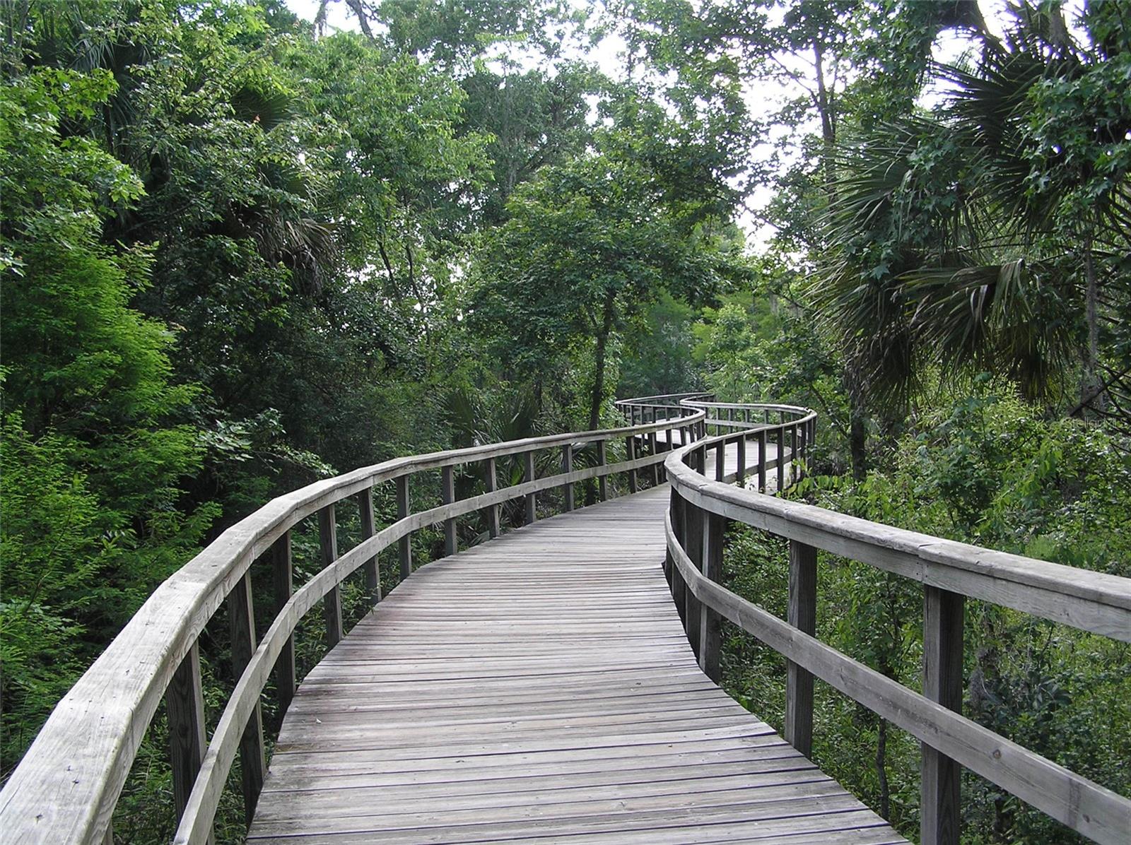 Various trails through conservation areas