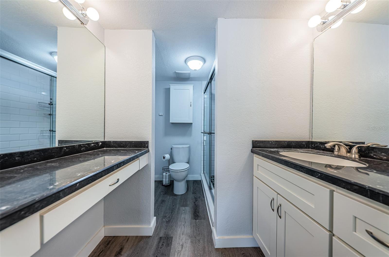 Ensuite bathroom, w/ newer lights, sink, faucet, toilet & a vanity counter