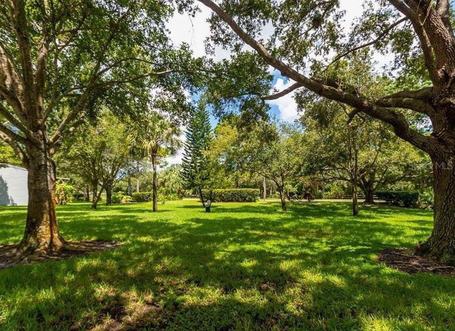 Grounds