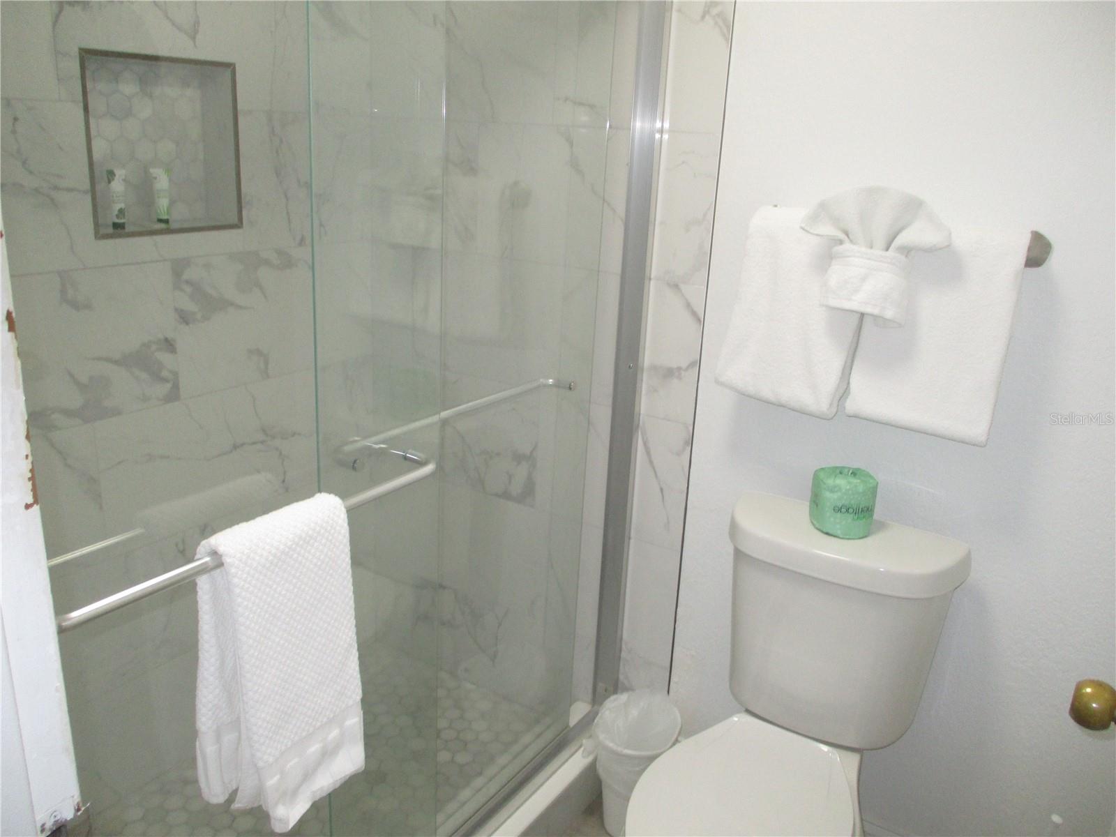 Step-in Shower. All remodeled