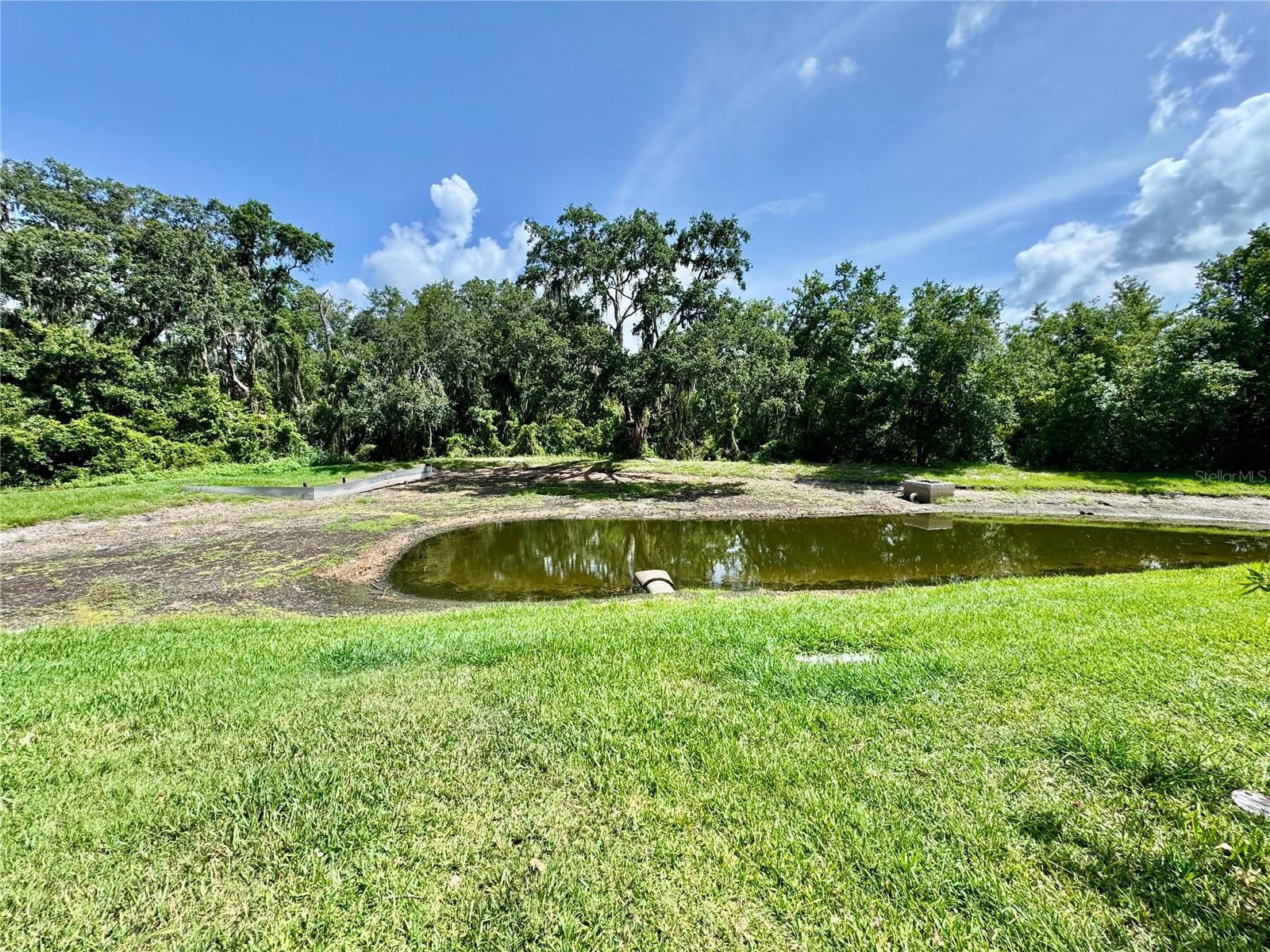 Pond view