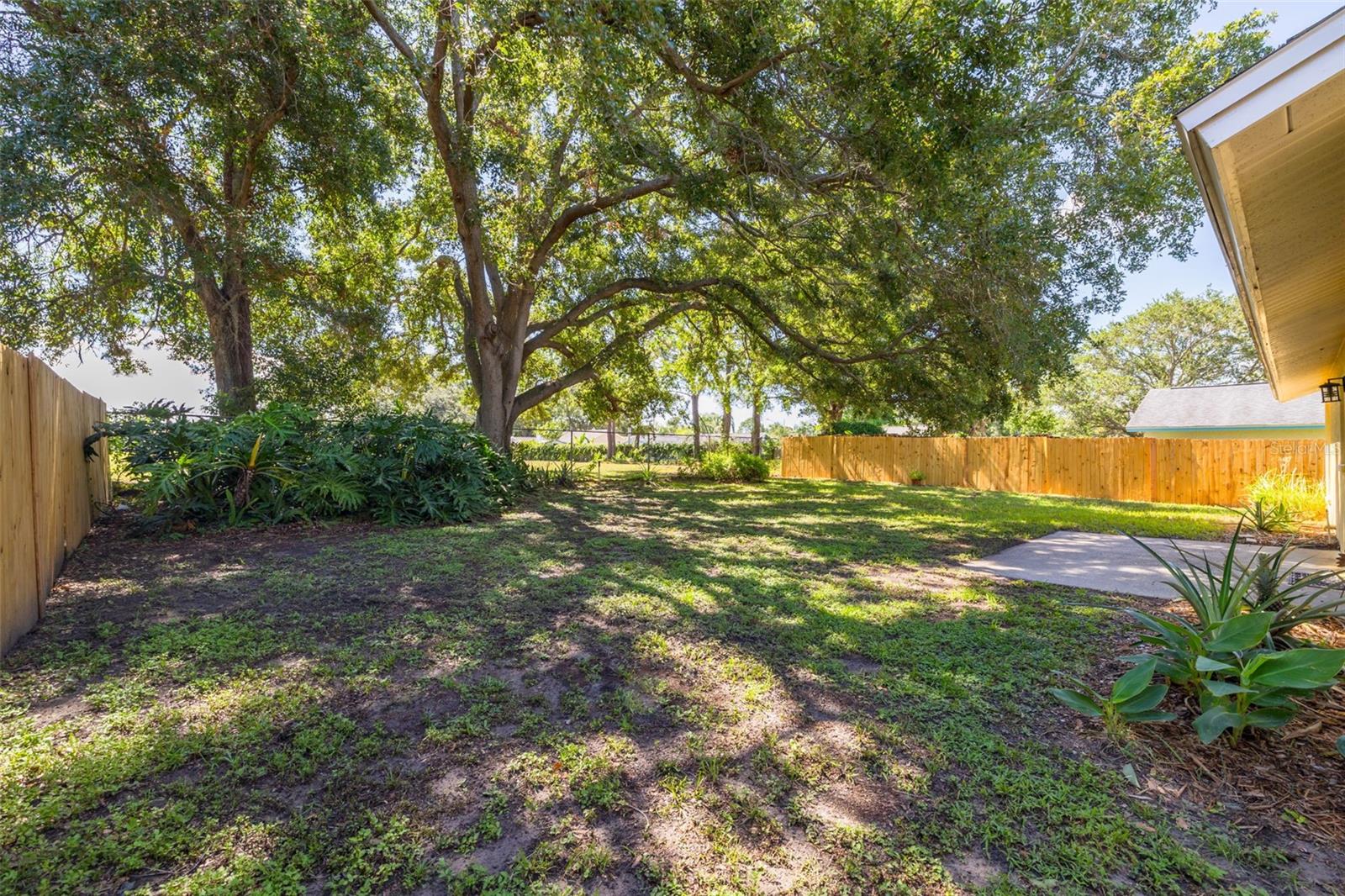 Large back yard