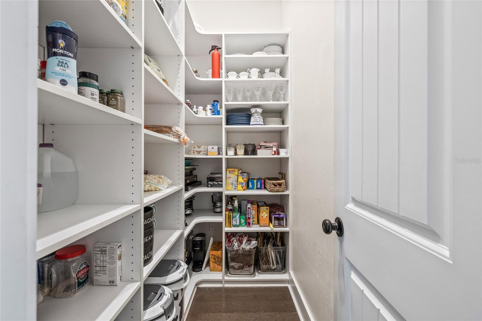 Huge pantry across from the dry bar.