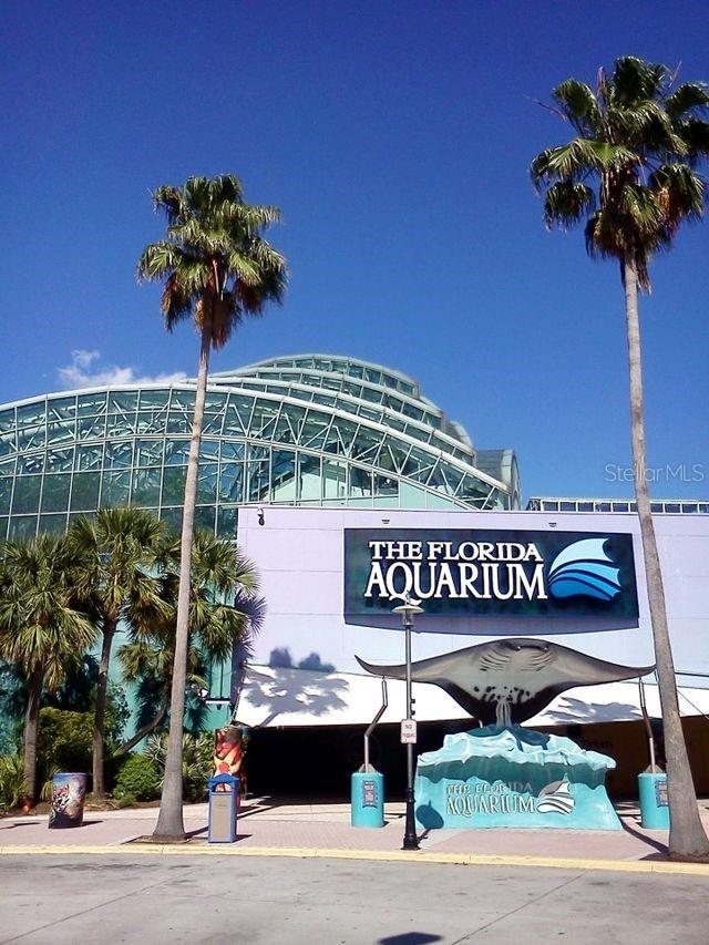 Florida aquarium