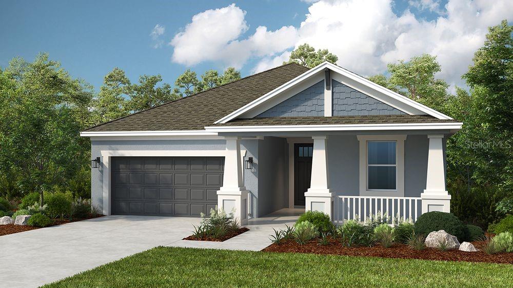 The Aruba ~ Rendering