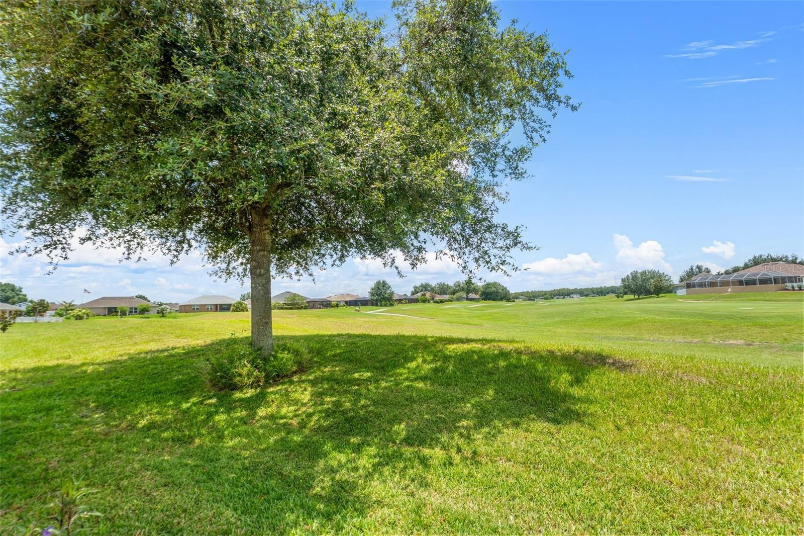 Golf Course Views