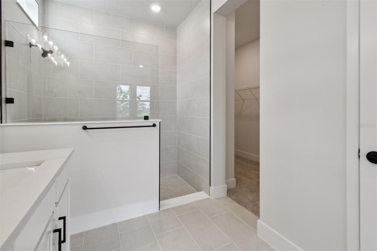 Owner's Bath