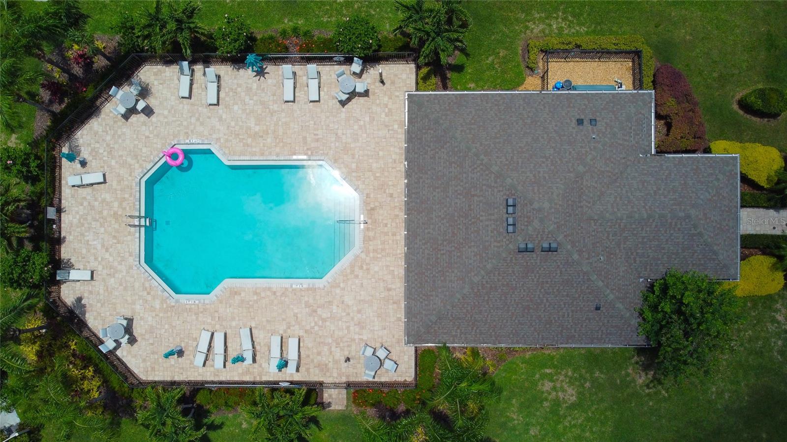 Beautiful Pool