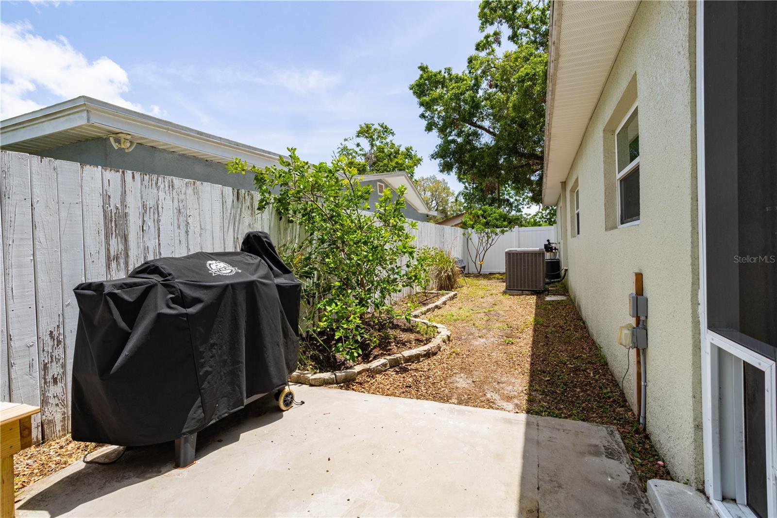 Fruit Trees!