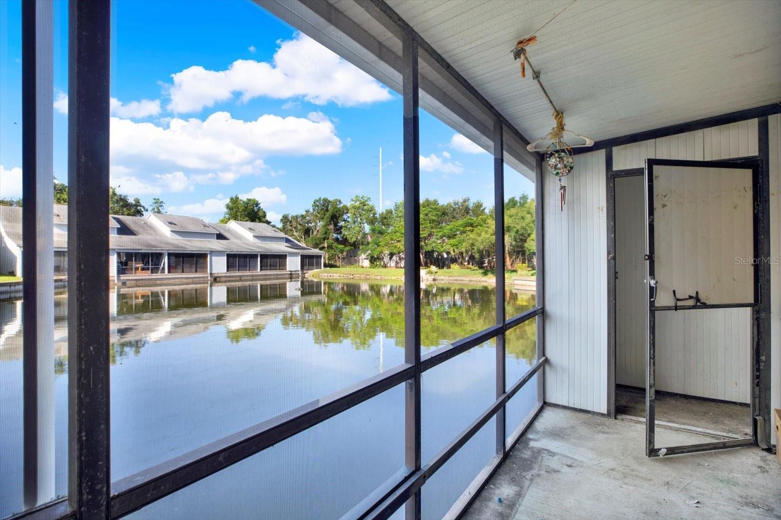 Pond View