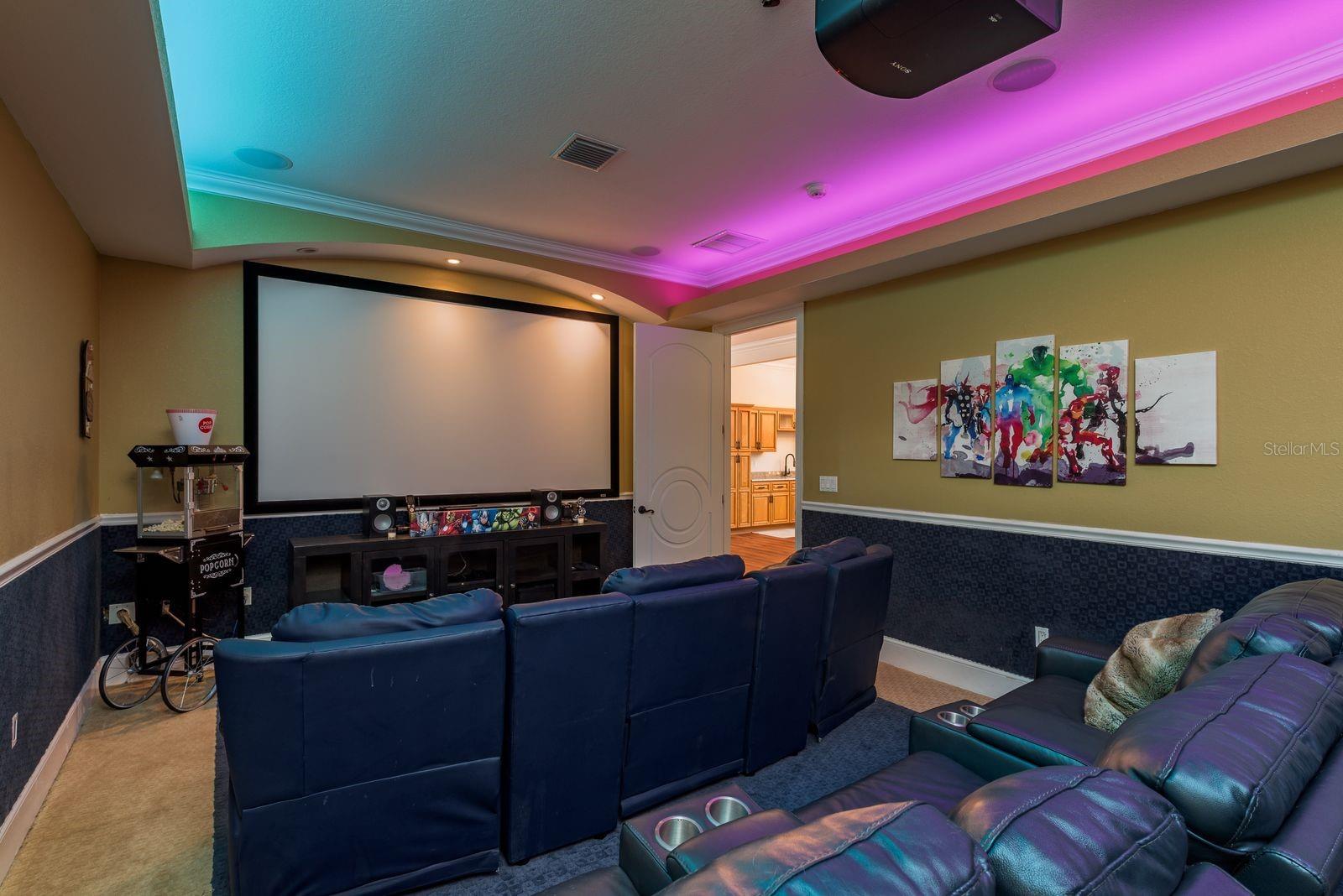Theatre Room