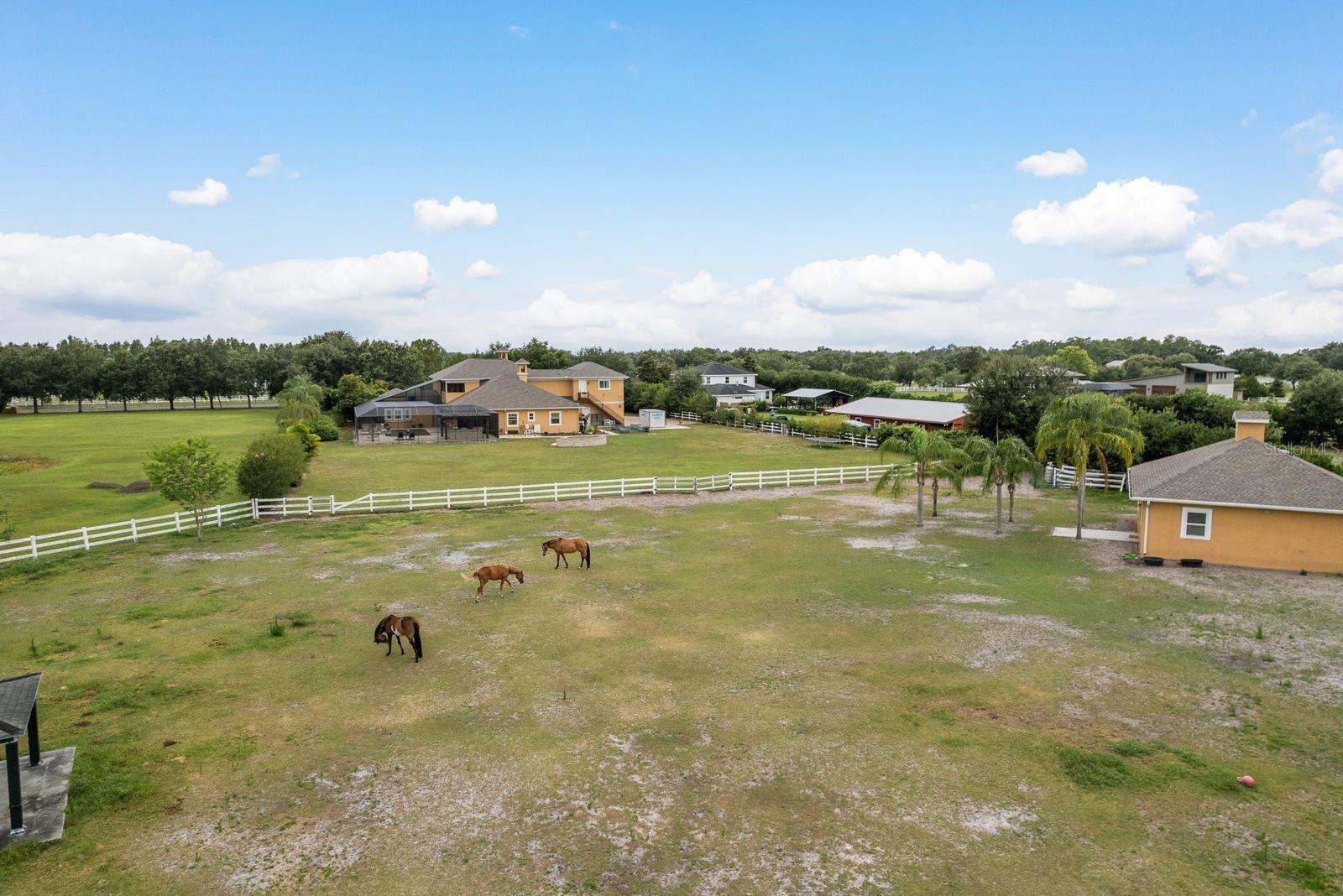 Pasture