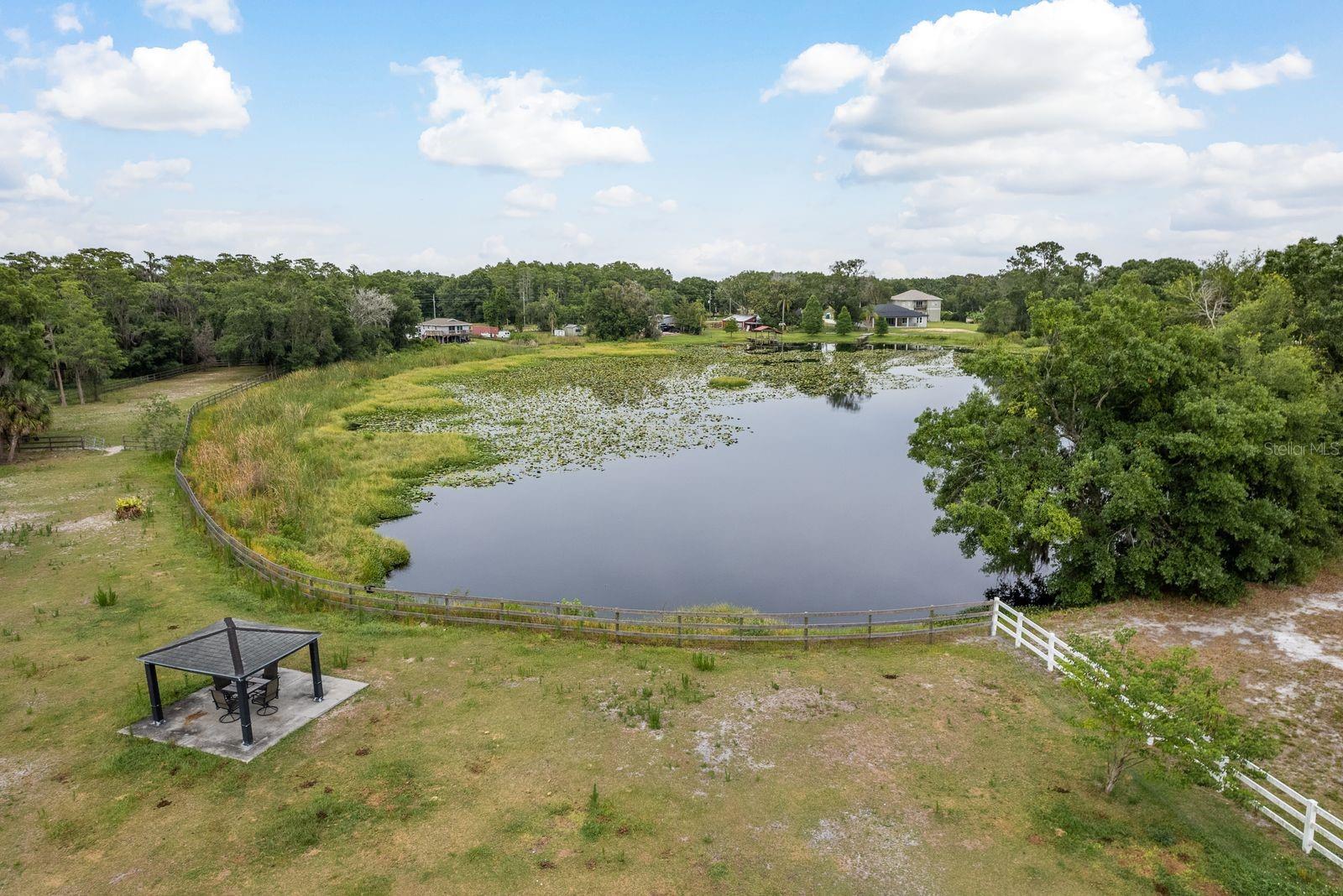 Pond