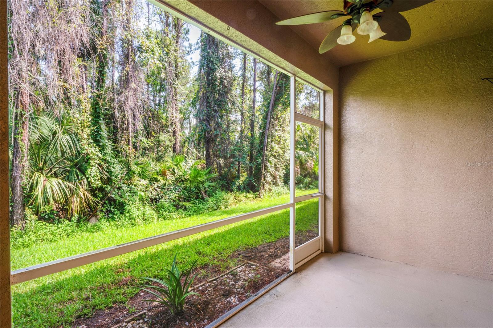 conservation view from Lanai