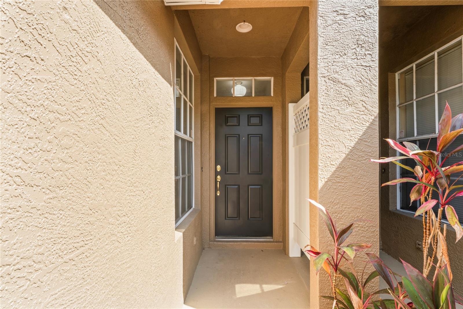 entry door