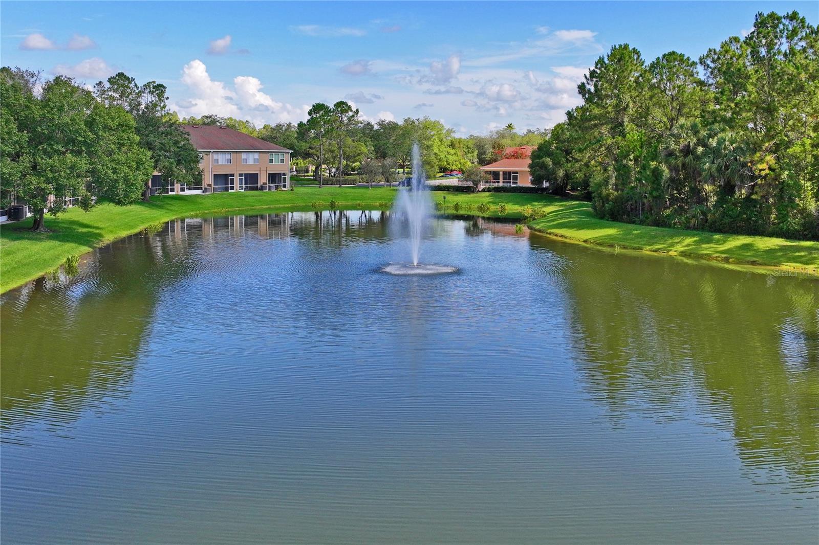 Pond View