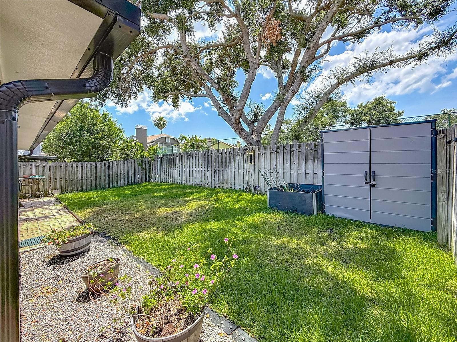 Rear Yard