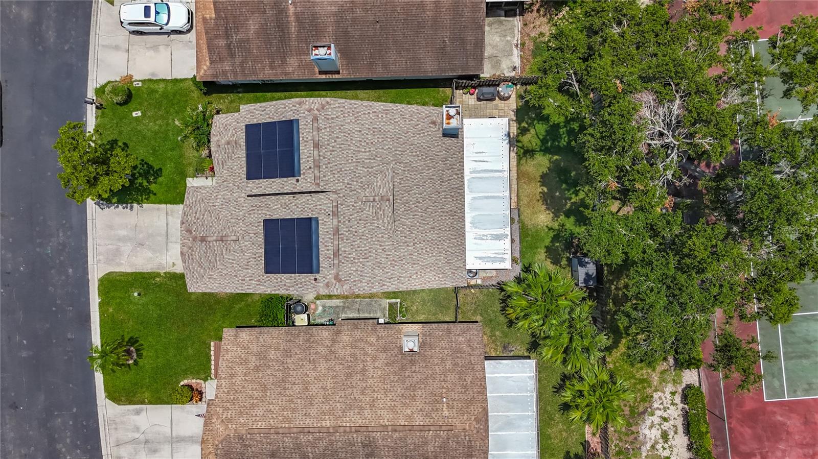 Bird's Eye