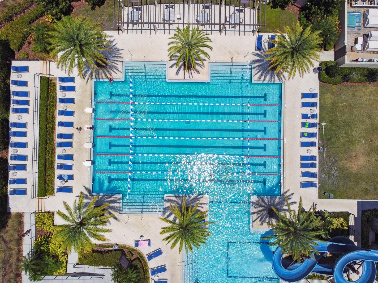 COMMUNITY LAP POOL