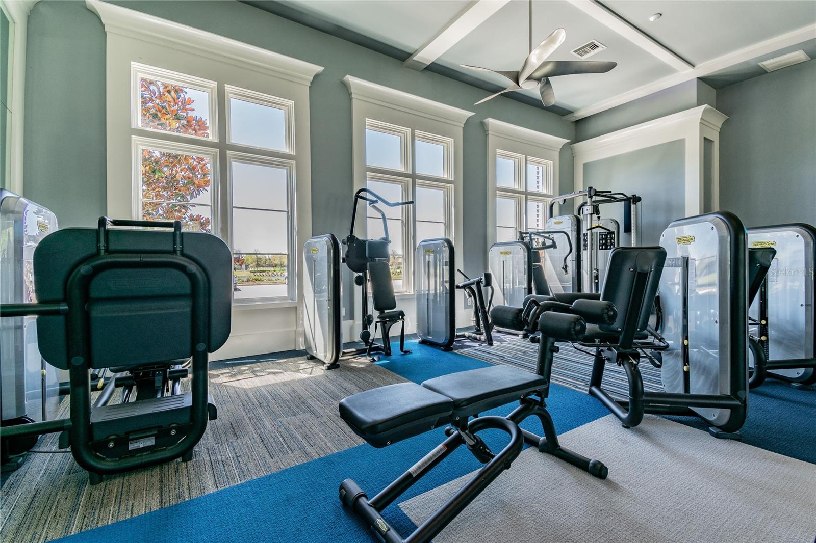 GYM