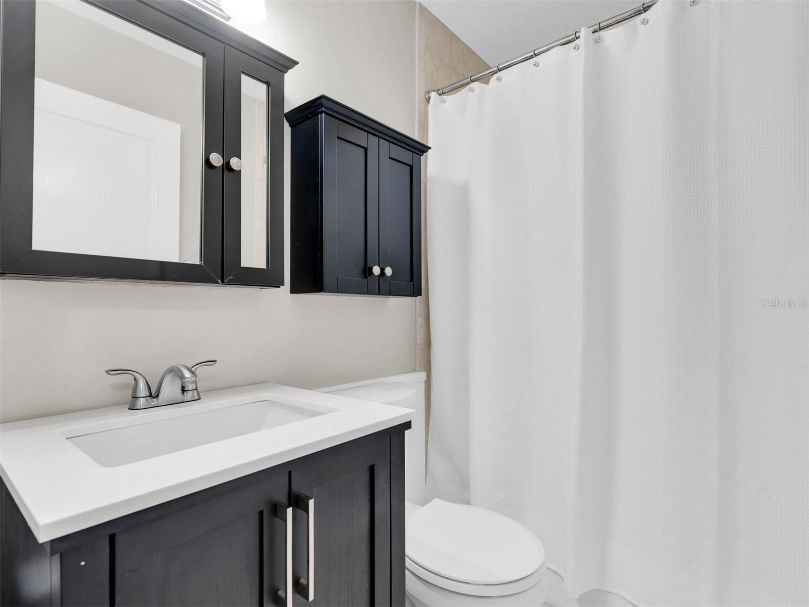 Updated Bathroom 2