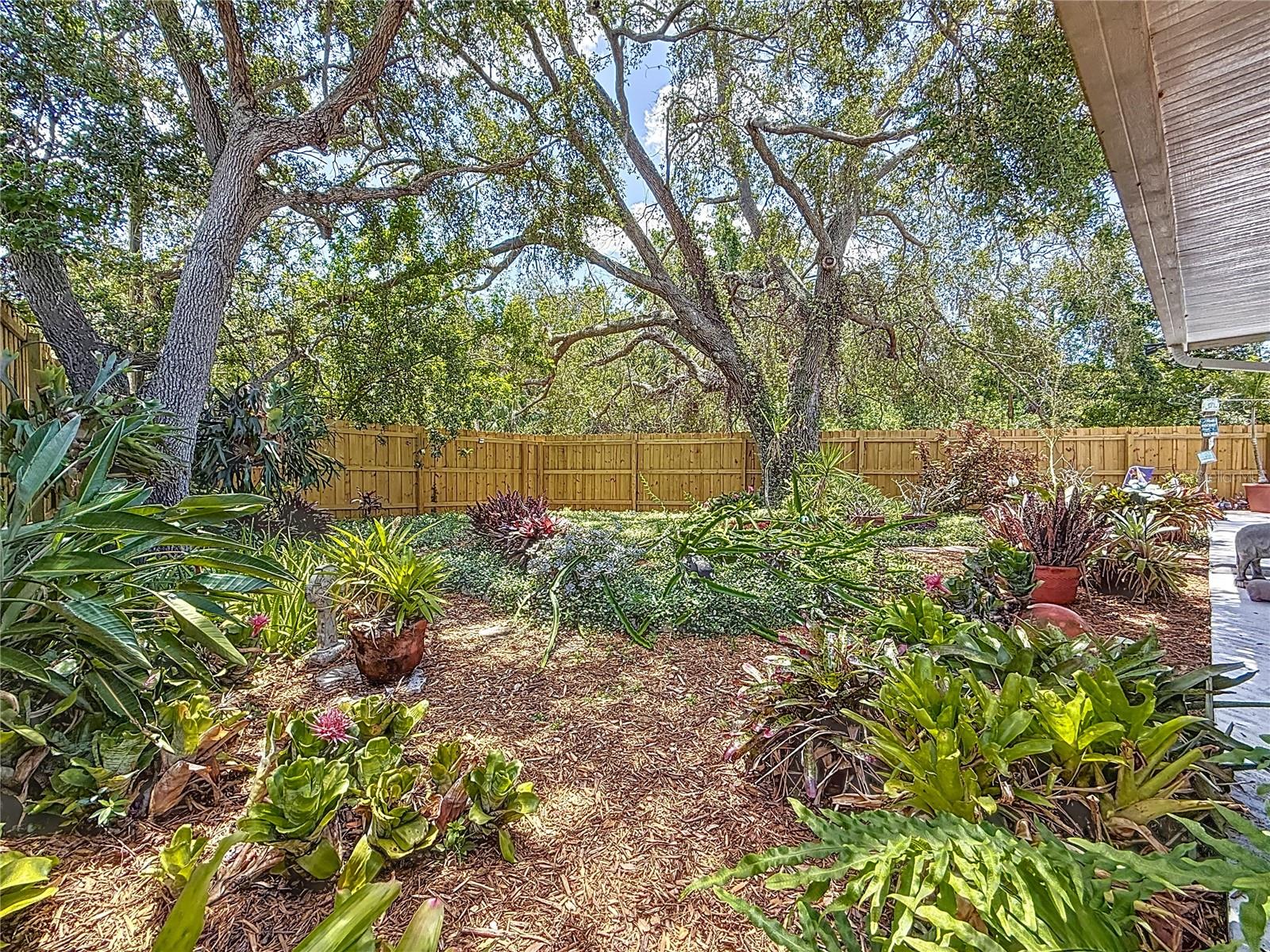 Here is another view of the backyard.  It is VERY peaceful back here. You feel like you are out in the country!
