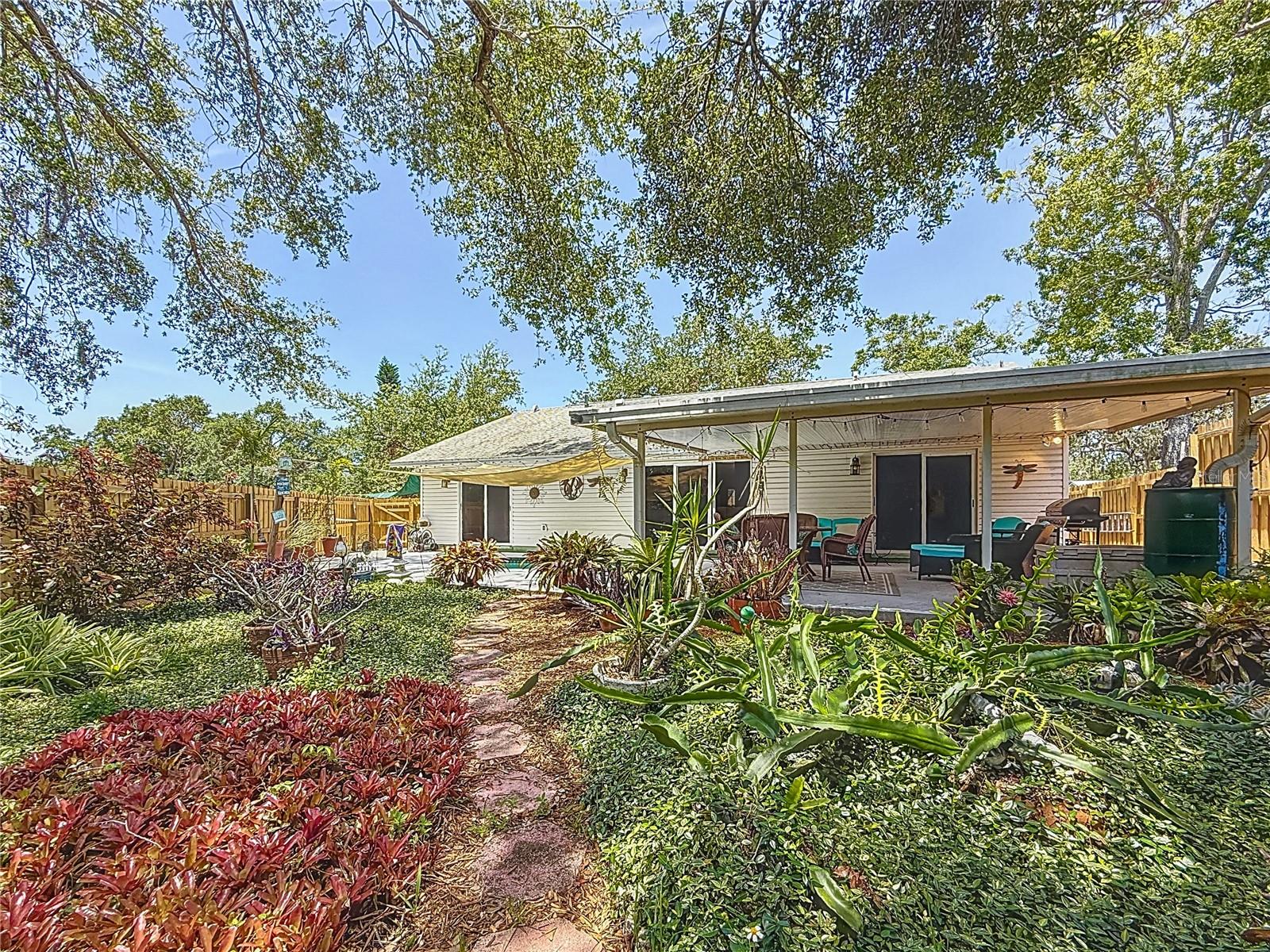 Another view of the back yard.