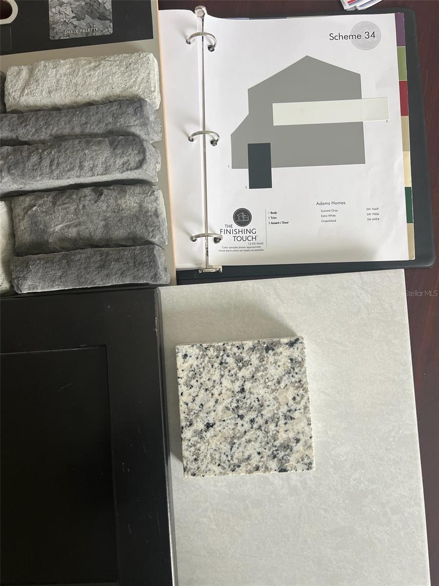 Color Scheme